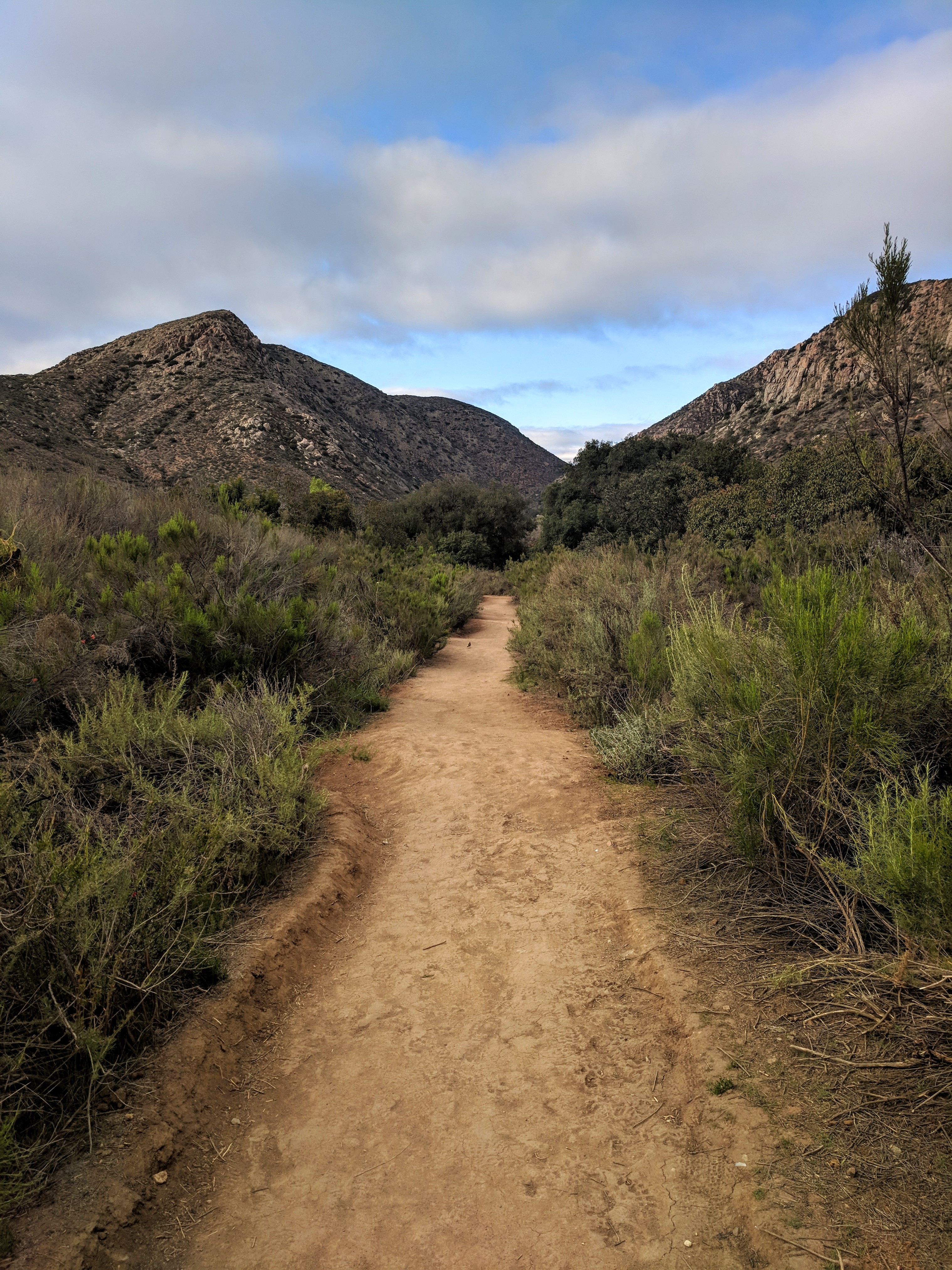 Mission Trails Regional Park: Hiking, Camping, and Nature Minutes from Downtown San Diego